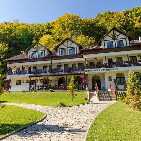 Pensiunea Ciprian Curtea de Argeş Exteriér fotografie